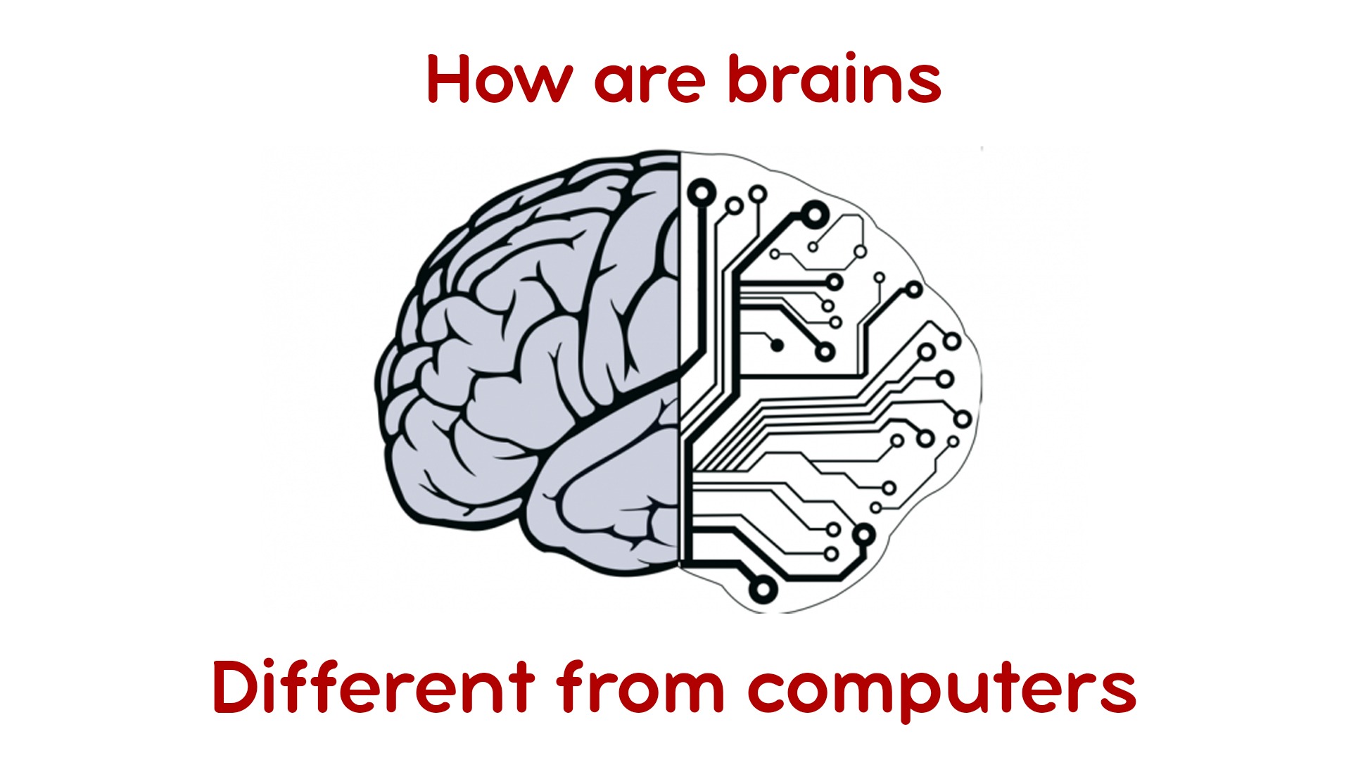 How are brains different from computers